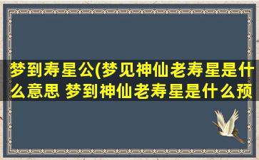 梦到寿星公(梦见神仙老寿星是什么意思 梦到神仙老寿星是什么预兆)